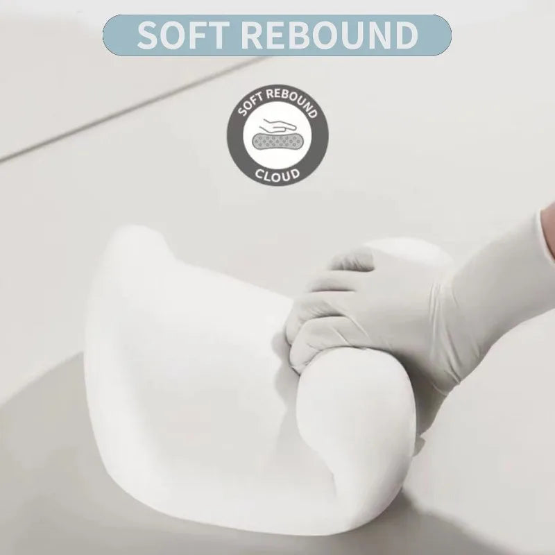Car Headrest & Lumbar Support Pillow Set